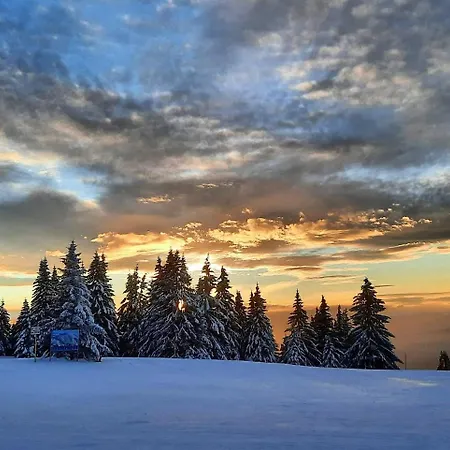 Apartman Milmari N Lux Sena Kopaonik