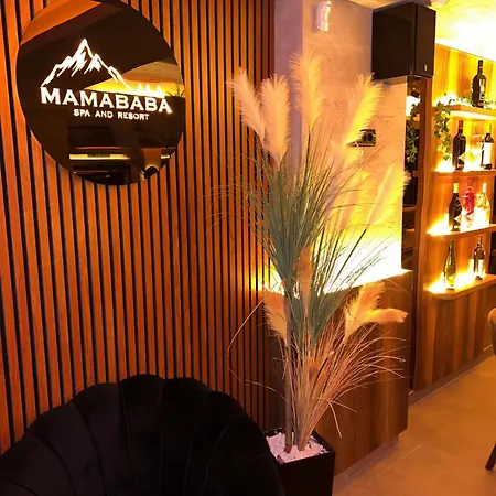 Milmari N Lux Sena Apartman Kopaonik