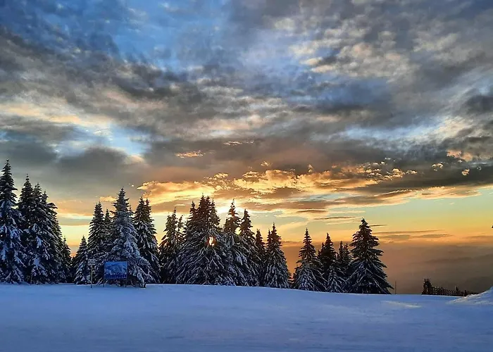 아파트 Milmari N Lux Sena 카파오닉